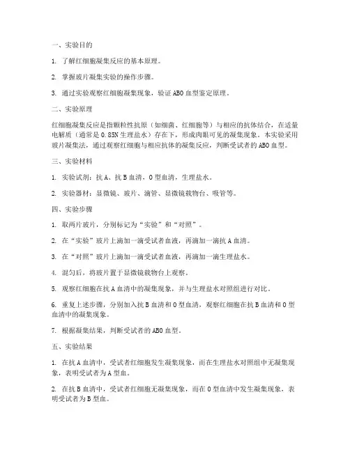 红细胞凝集实验报告