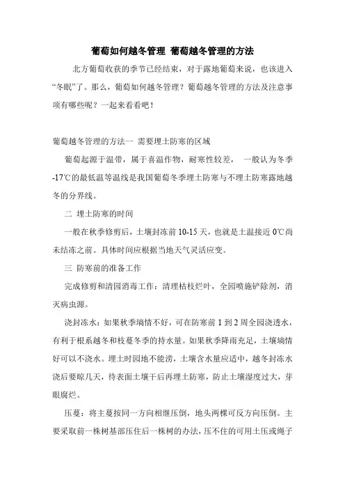 葡萄如何越冬管理 葡萄越冬管理的方法