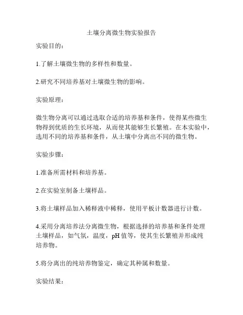 土壤分离微生物实验报告