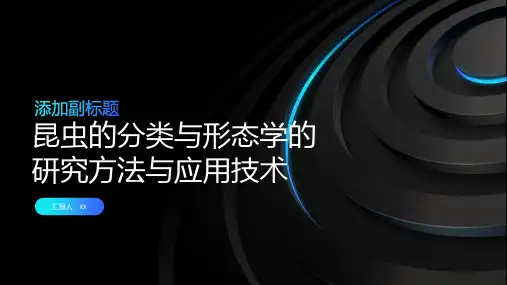 昆虫的分类与形态学的研究方法与应用技术