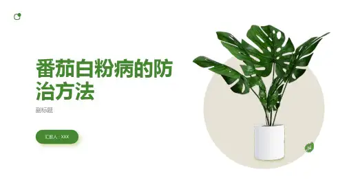 番茄白粉病的防治方法