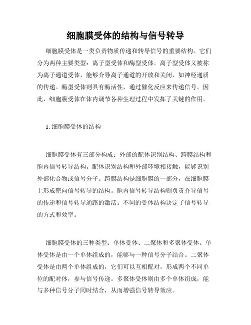 细胞膜受体的结构与信号转导