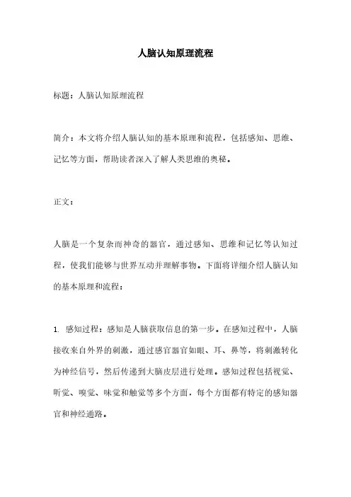 人脑认知原理流程