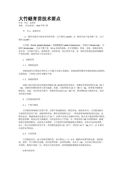 大竹蛏育苗技术要点