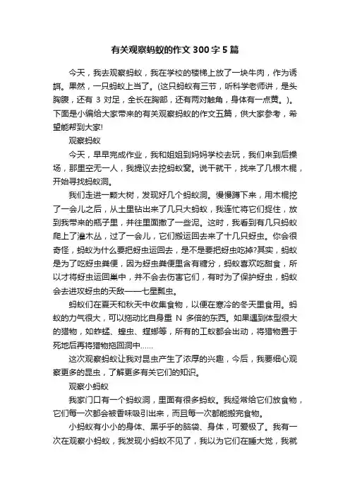 有关观察蚂蚁的作文300字5篇