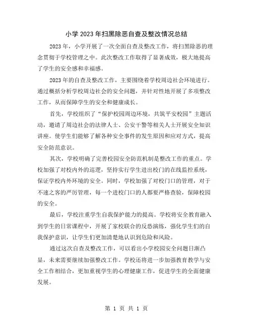 小学2023年扫黑除恶自查及整改情况总结