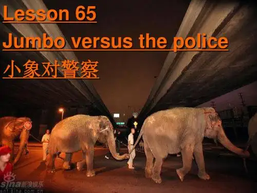 新概念英语 第二册 Lesson65