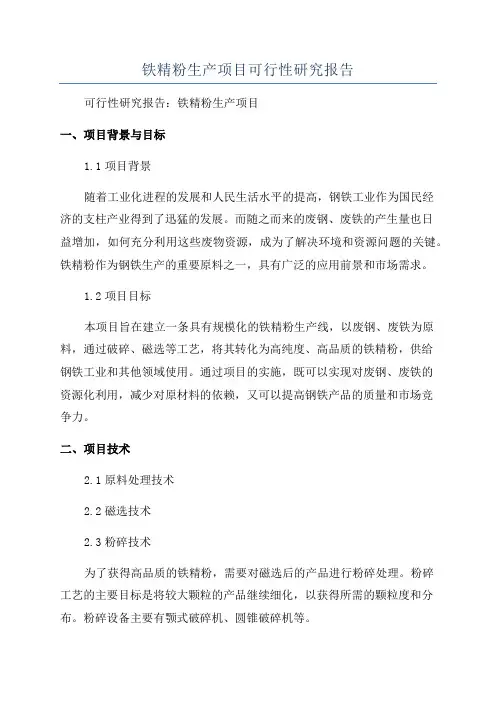 铁精粉生产项目可行性研究报告
