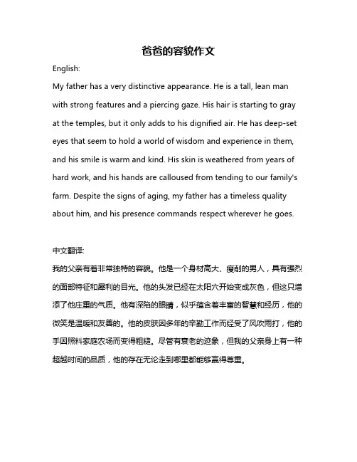 爸爸的容貌作文