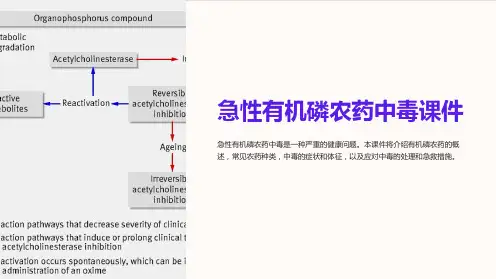 急性有机磷农药中毒课件