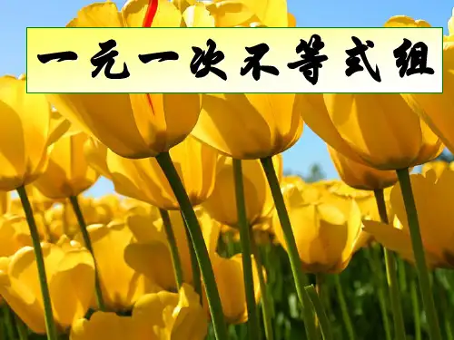 公开课9.3《一元一次不等式组的解法》PPT课件