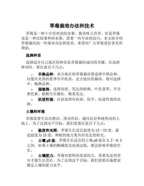 草莓栽培办法和技术