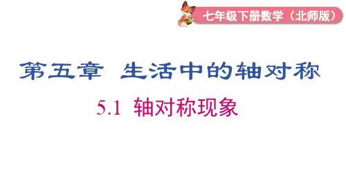 北师大版数学七年级下册5.1 轴对称现象课件(17张PPPT)