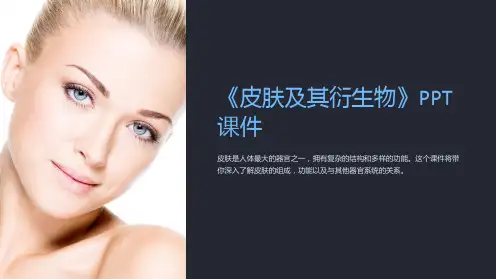 《皮肤及其衍生物》课件