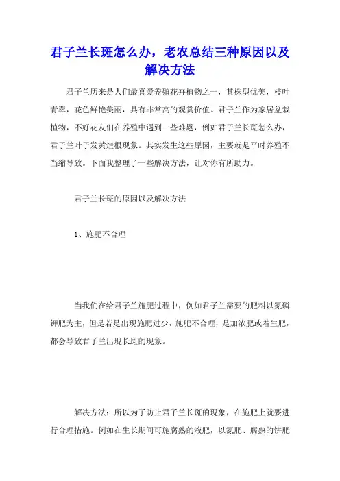 君子兰长斑怎么办,老农总结三种原因以及解决方法