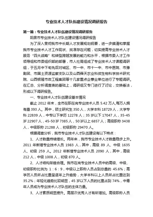 专业技术人才队伍建设情况调研报告