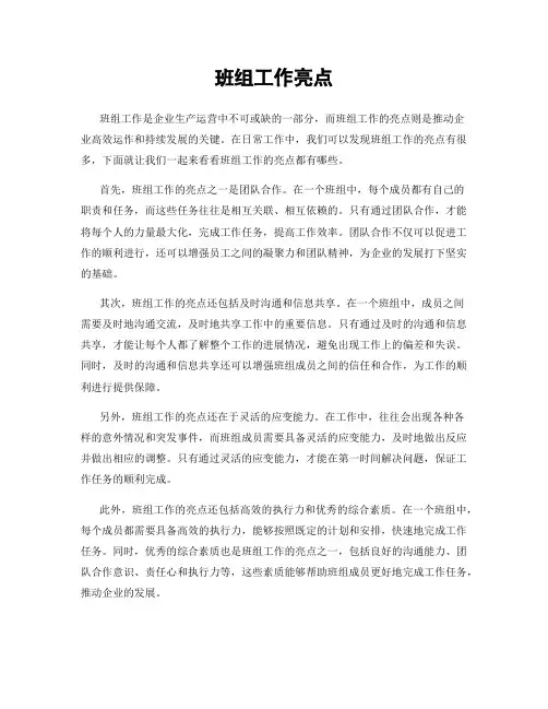 班组工作亮点