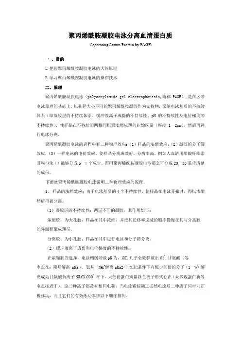 聚丙烯酰胺凝胶电泳分离血清蛋白质