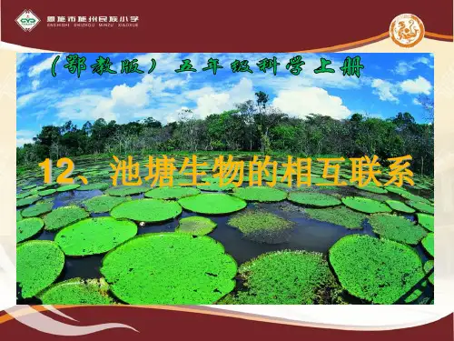 12、池塘生物的相互联系知识讲解