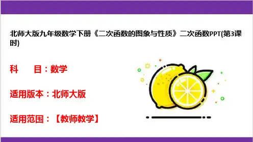 北师大版九年级数学下册《二次函数的图象与性质》二次函数PPT(第3课时)