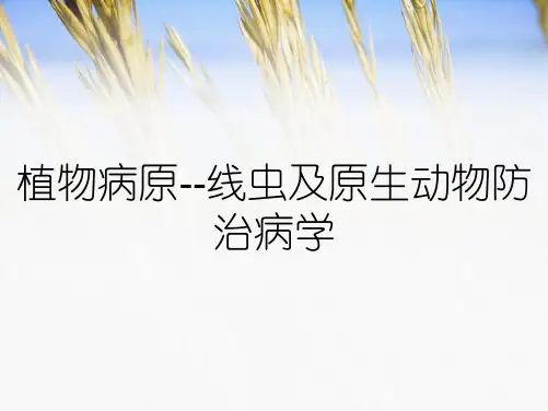 植物病原--线虫及原生动物防治病学