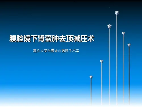 腹腔镜下肾囊肿去顶减压术PPT课件