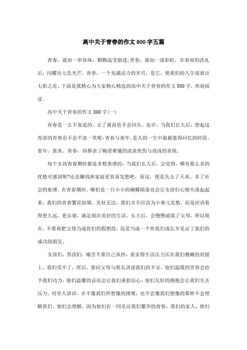 高中关于青春的作文800字五篇