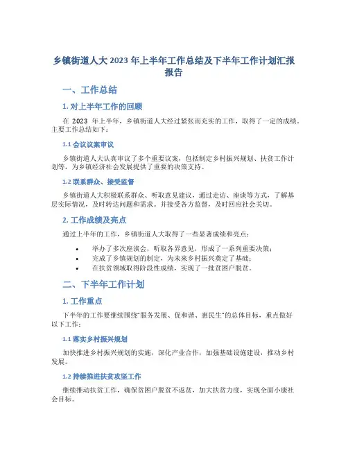 乡镇街道街道人大2023年上半年工作总结及下半年工作计划汇报报告