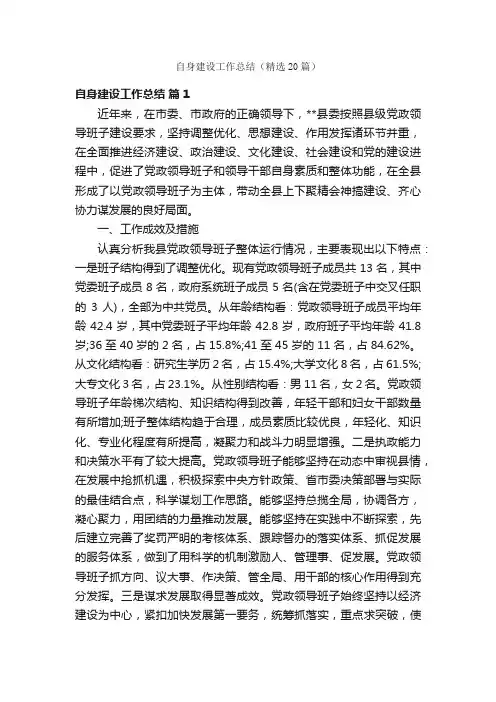自身建设工作总结（精选20篇）