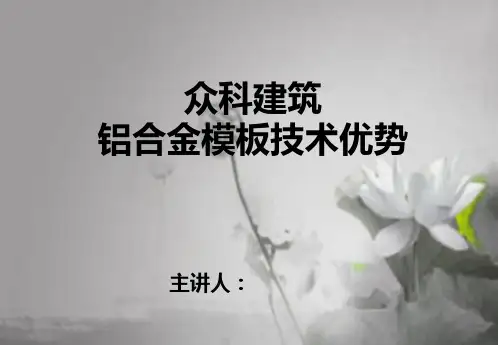 铝模技术 PPT