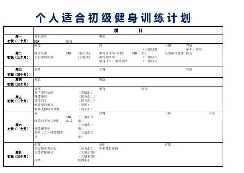 个人适合初级健身训练计划Excel模板