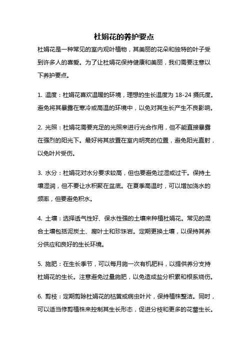 杜娟花的养护要点