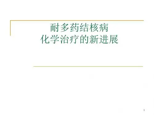 耐多药结核病课件