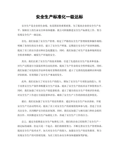 安全生产标准化一级达标