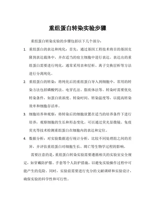 重组蛋白转染实验步骤