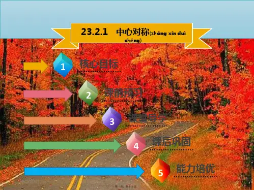 九年级数学上册第二十三章旋转23.2中心对称23.2.1中心对称导学