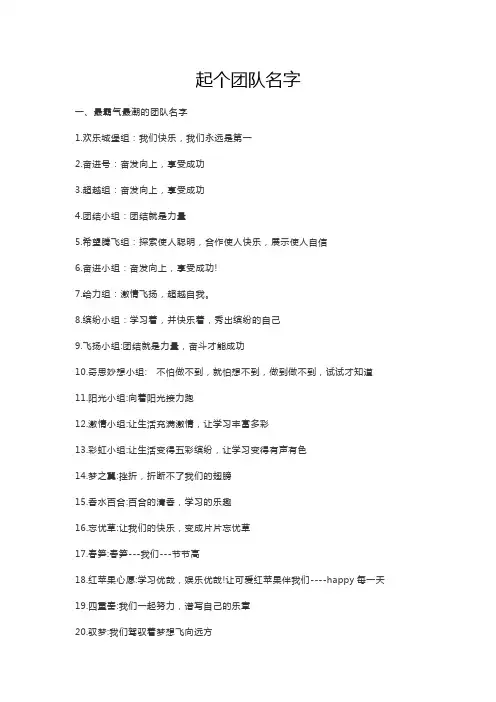 起个团队名字