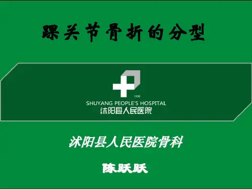 踝关节骨折的分型