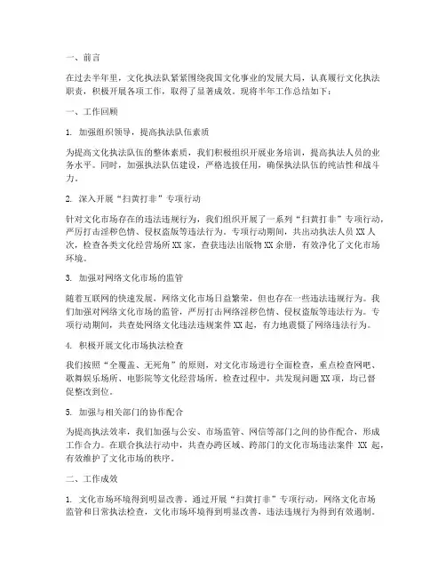 文化执法队半年工作总结