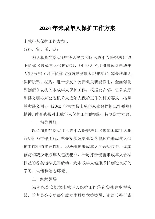 2024年未成年人保护工作方案