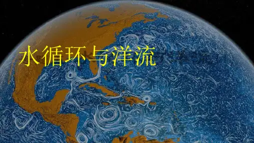 浙江省2020年高三地理复习水循环和洋流
