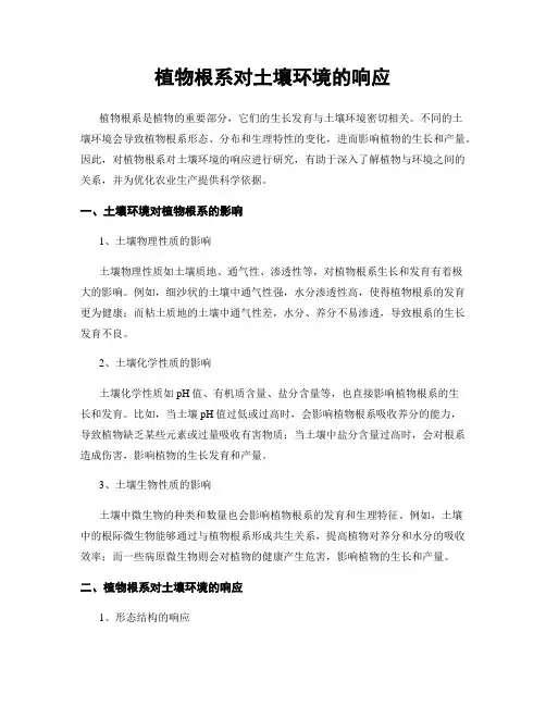 植物根系对土壤环境的响应
