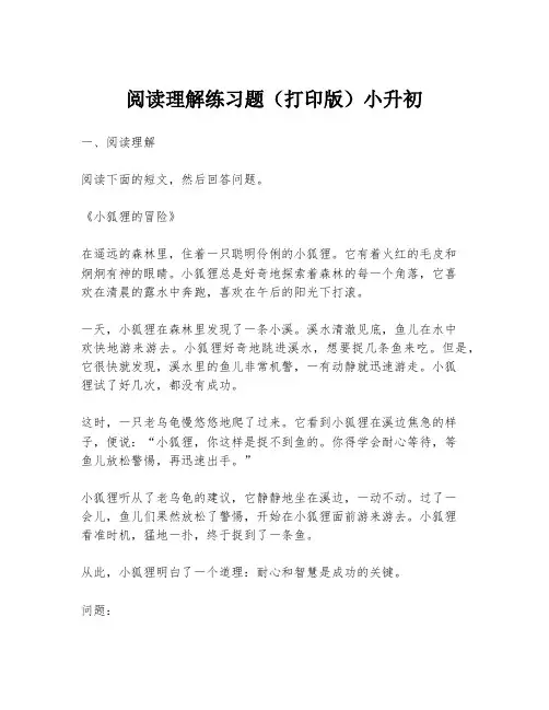 阅读理解练习题(打印版)小升初