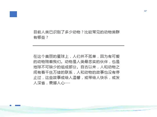 无脊椎动物的主要类群