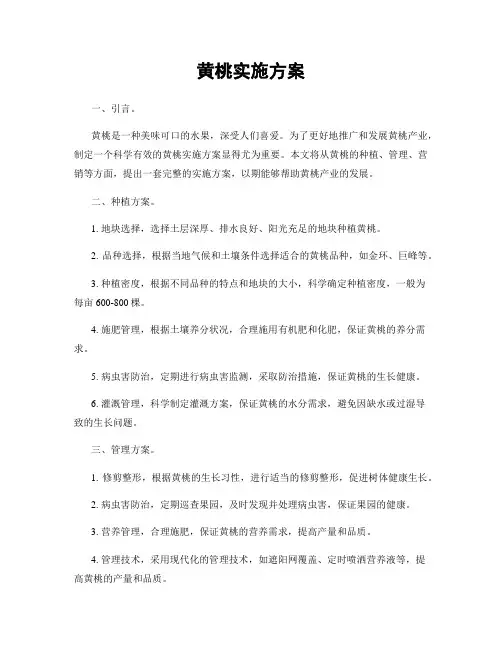 黄桃实施方案