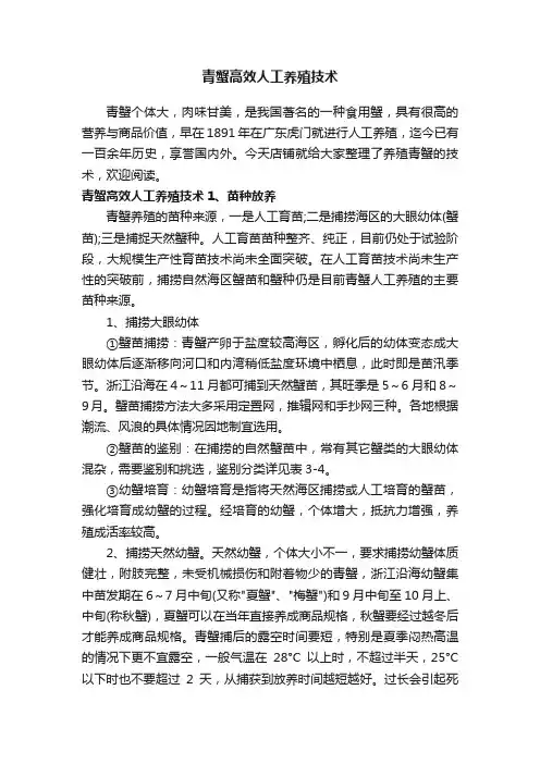 青蟹高效人工养殖技术