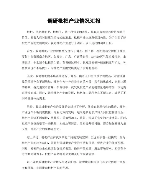 调研枇杷产业情况汇报