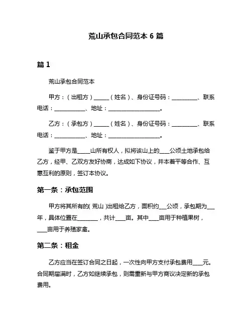 荒山承包合同范本6篇