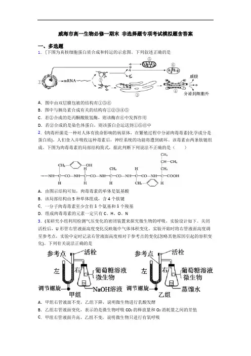 威海市高一生物必修一期末 非选择题专项考试模拟题含答案