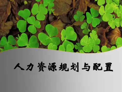 某年度人力资源规划及配置(ppt 33页)